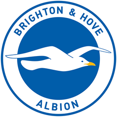 Brighton & Hove Albion — Bambino